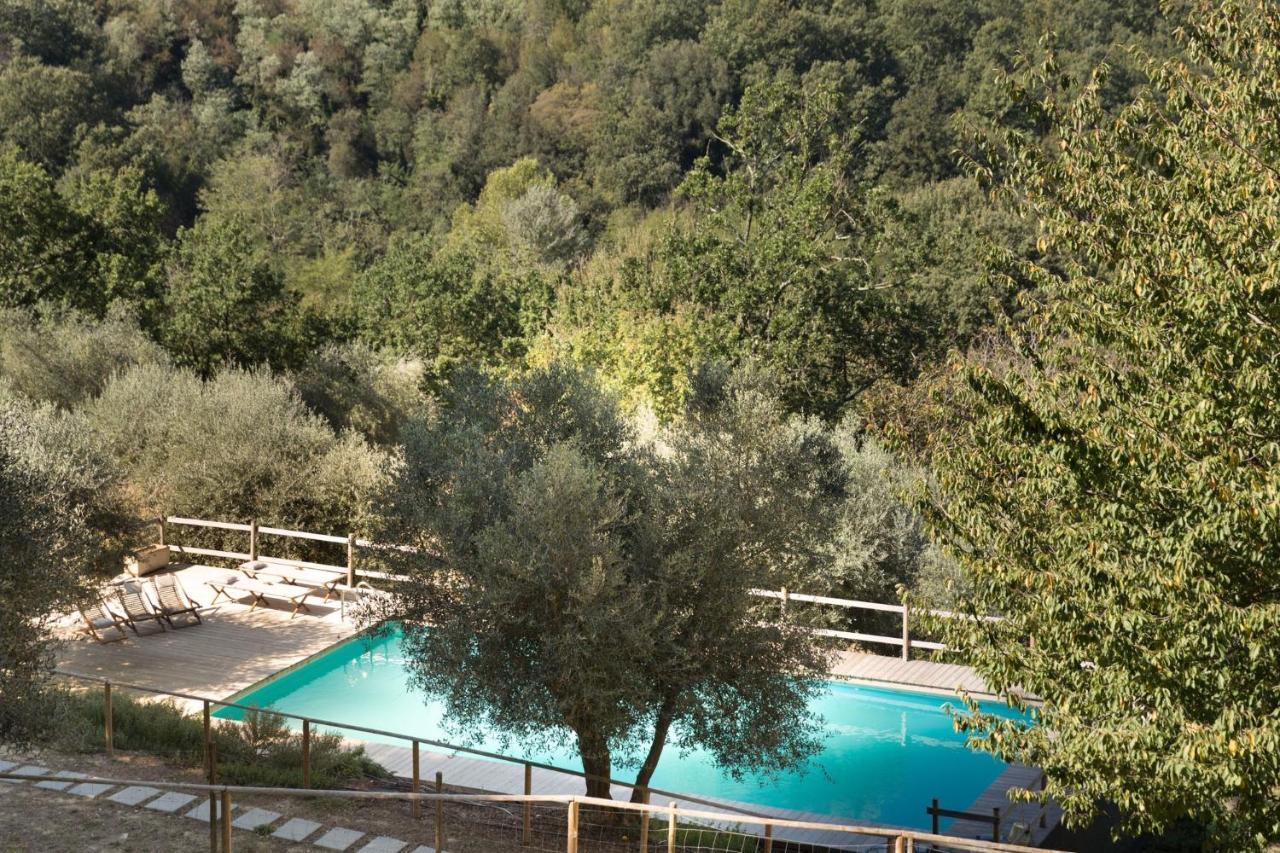 Alpaca Country House Pontedera Exteriér fotografie