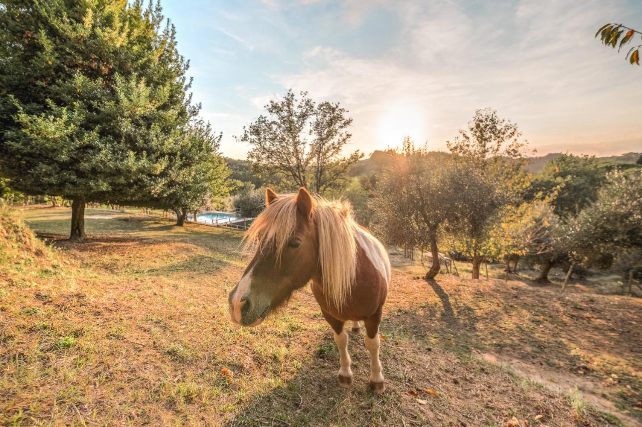 Alpaca Country House Pontedera Exteriér fotografie